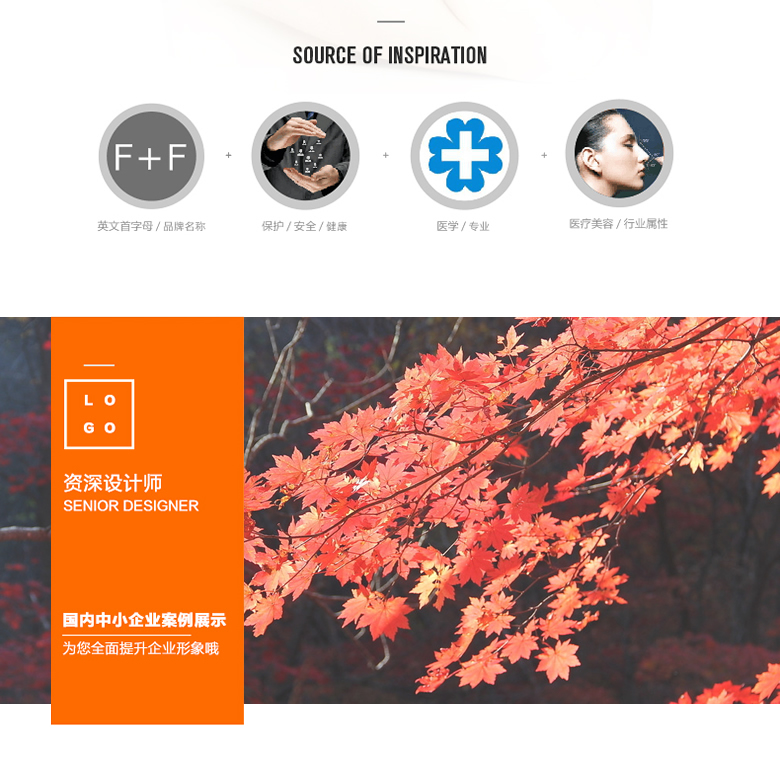 聊城商标设计注册公司价格 收费标准 哪家公司好