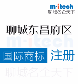 关于聊城东昌府区代办理公司注册国际商标流程有哪些