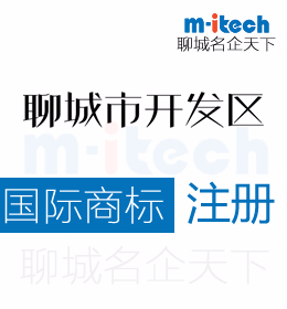 聊城经济技术开发区公司申请注册国际全球商标流程