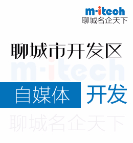 经济技术开发区公司代办理自媒体app开发如何满足大众需求