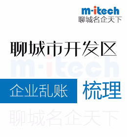 聊城开发区代办公司处理企业乱账的整理工作内容有哪些