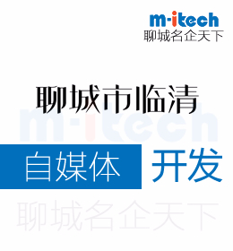 聊城临清市自媒体软件开发表现在哪几方面