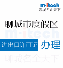 聊城旅游度假区代办理公司进出口经营权的资格条件