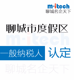 聊城度假区代办理公司一般纳税人认定标准有哪些内容