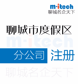 聊城度假区公司注册分公司营业执照代办理需要提交以下材料